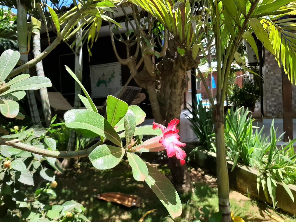 Pousada Das Flores Фернанду-ди-Норонья Экстерьер фото